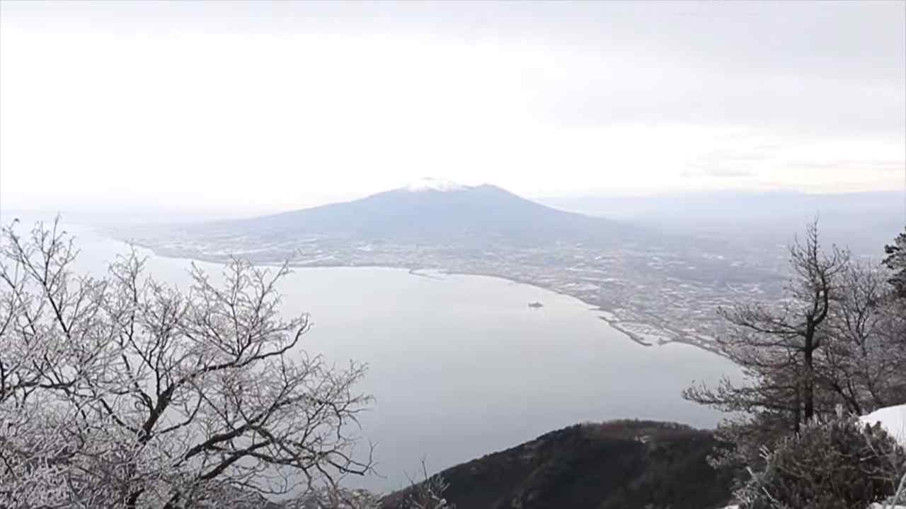 campania gelate contatori