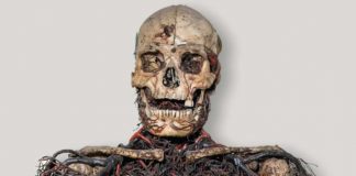 Le macchine anatomiche di Cappella Sansevero - www.napolinewstoday.it