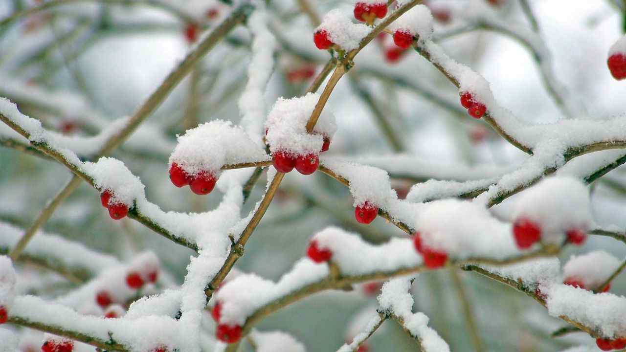 previsioni meteo week end befana