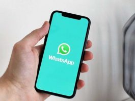 aggiornamento Whatsappa avatar